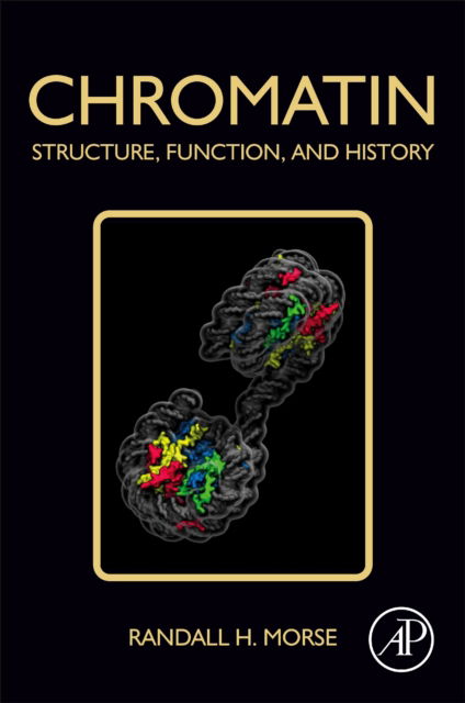 Cover for Morse, Randall H. (Chief, Laboratory of Molecular Genetics, Wadsworth Center, NY State Department of Health and Professor, Department of Biomedical Sciences, UAlbany School of Public Health, USA) · Chromatin: Structure, Function, and History (Paperback Book) (2024)