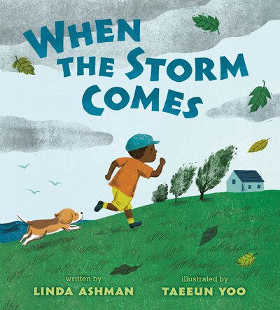 Cover for Linda Ashman · When the Storm Comes (Hardcover Book) (2020)