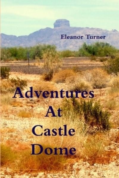 Cover for Eleanor Turner · Adventures at Castle Dome (Buch) (2009)