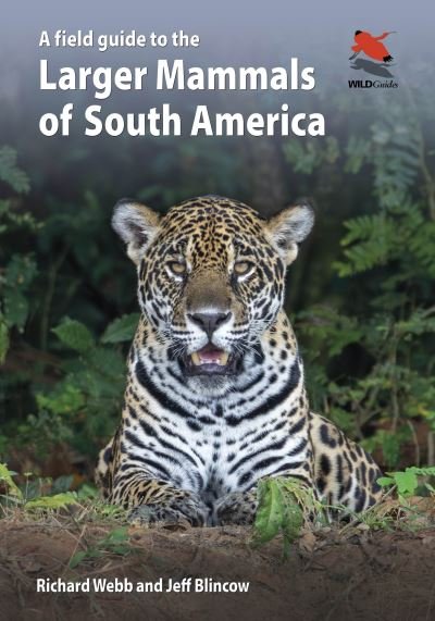 Richard Webb · A Field Guide to the Larger Mammals of South America - WILDGuides (Paperback Book) (2024)