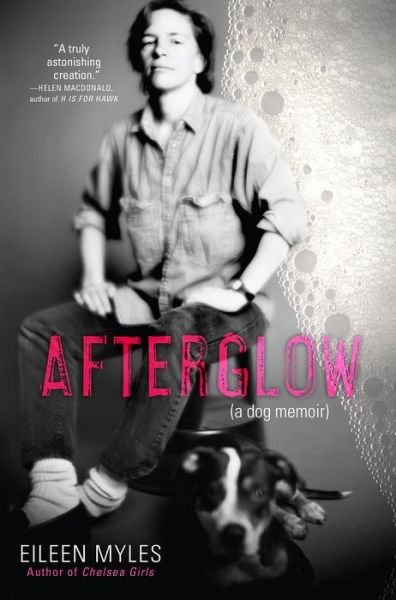 Cover for Eileen Myles · Afterglow a dog memoir (Bog) [First edition. First Grove Atlantic hardcover edition. edition] (2017)