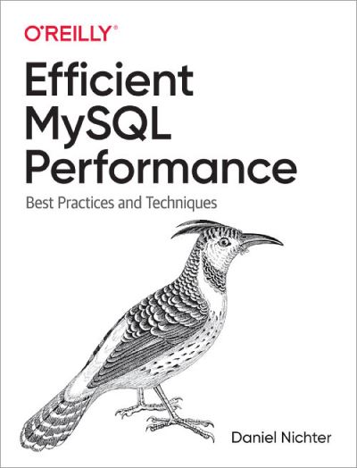 Efficient MySQL Performance: Best Practices and Techniques - Daniel Nichter - Books - O'Reilly Media - 9781098105099 - December 31, 2021