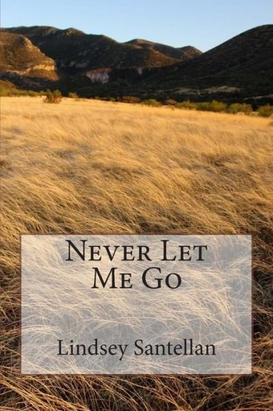 Never Let Me Go - Lindsey Santellan - Kirjat - Createspace - 9781490385099 - perjantai 7. kesäkuuta 2013
