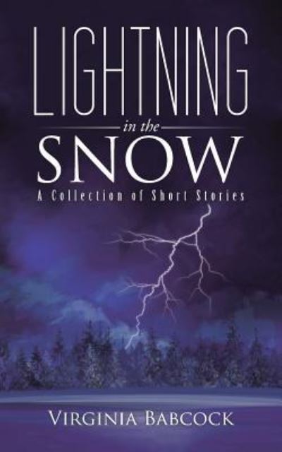 Cover for Virginia Babcock · Lightning in the Snow (Paperback Book) (2016)