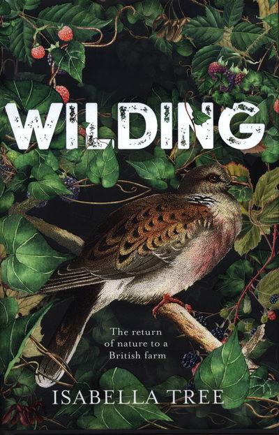 Cover for Isabella Tree · Wilding: The Return of Nature to a British Farm (Innbunden bok) (2018)