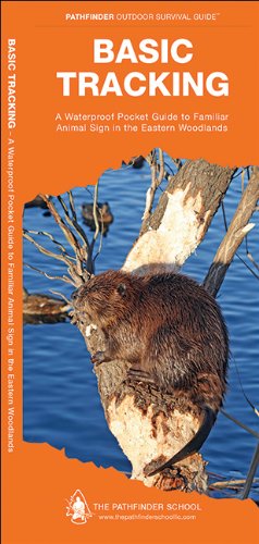 Cover for Dave Canterbury · Basic Tracking: A Waterproof Pocket Guide to Familiar Animal Sign in the Eastern Woodlands - Pathfinder Outdoor Survival Guide Series (Pamphlet) [Fol Chrt edition] (2012)