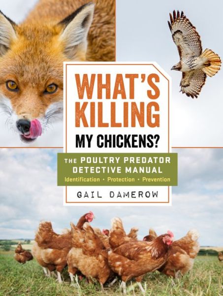 What's Killing My Chickens?: The Poultry Predator Detective Manual - Gail Damerow - Books - Workman Publishing - 9781612129099 - December 10, 2019