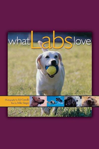 Cover for Mike Singer · What Labs Love (Hardcover Book) (2001)