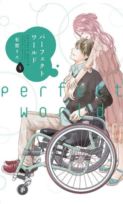 Cover for Rie Aruga · Perfect World 9 - Perfect World (Taschenbuch) (2021)