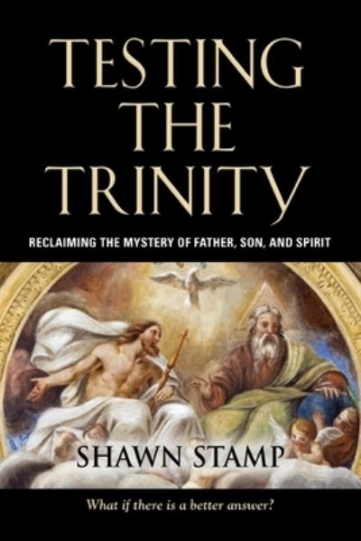 Cover for Shawn Stamp · Testing the Trinity (Paperback Book) (2020)