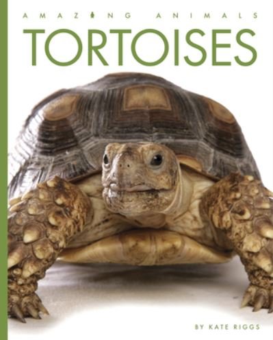 Cover for Kate Riggs · Tortoises (N/A) (2022)