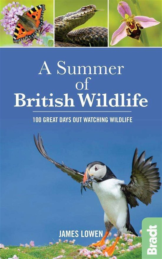 Cover for James Lowen · A Summer of British Wildlife: 100 great days out watching wildlife (Paperback Book) (2016)