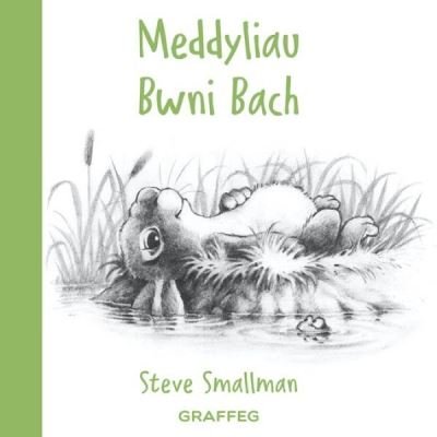 Cover for Steve Smallman · Meddyliau Bwni Bach (Inbunden Bok) (2021)