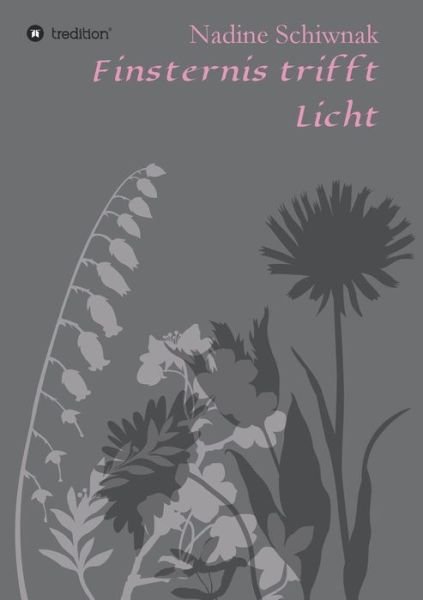 Cover for Nadine Schiwnak · Finsternis trifft Licht (Paperback Book) (2021)
