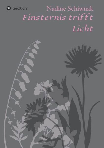 Cover for Nadine Schiwnak · Finsternis trifft Licht (Taschenbuch) (2021)