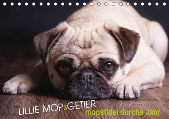 Cover for Raab · Lillie Mopsgetier - mopsfidel durc (Bog)