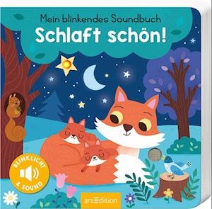 Cover for Maria Höck · Mein blinkendes Soundbuch  Schlaft schön! (Book) (2022)