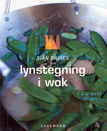 Cover for Siân Davies · Lynstegning i wok (Sewn Spine Book) [1st edition] (2003)