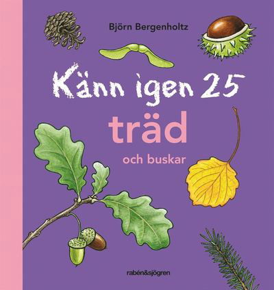 Känn igen 25: Känn igen 25 träd och buskar - Björn Bergenholtz - Książki - Rabén & Sjögren - 9789129676099 - 28 sierpnia 2012