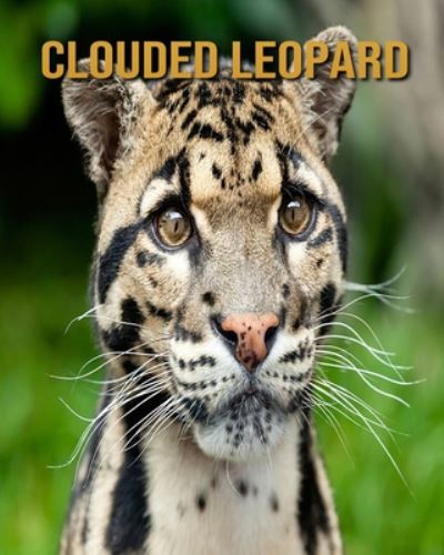 Cover for Joe Murphy · Clouded Leopard (Paperback Book) (2020)