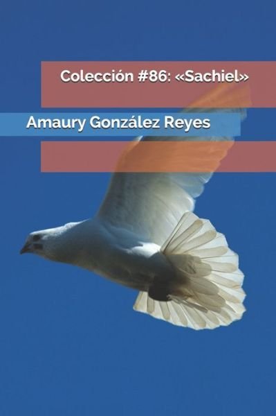 Cover for Amaury González Reyes · Coleccion #86 (Pocketbok) (2020)