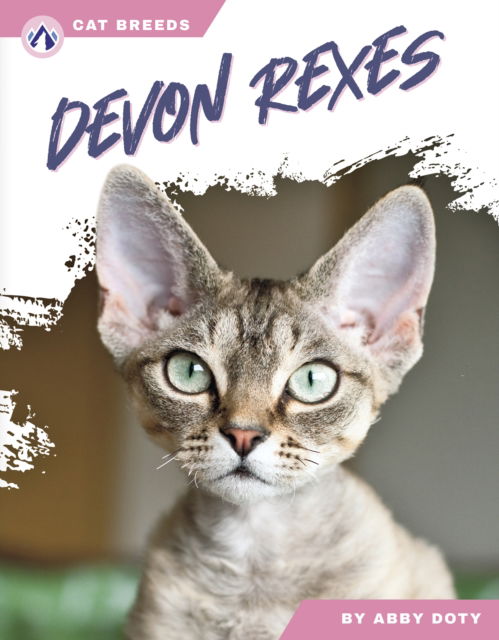 Devon Rexes - Cat Breeds - Abby Doty - Books - Apex - 9798892503099 - 2025