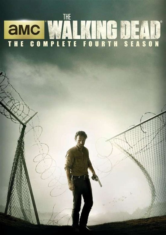 Cover for Walking Dead: Season 4 (DVD) (2014)
