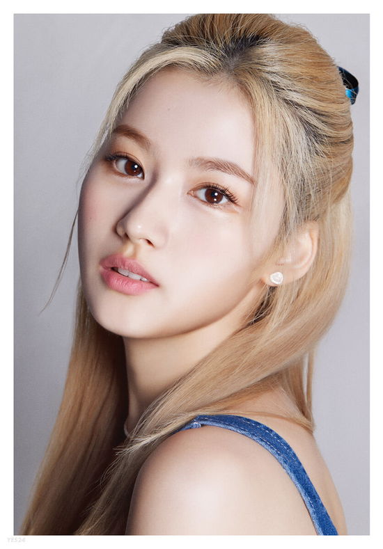 Cover for Twice · Dicon D’festa Twice : 03 Sana (Book) (2022)