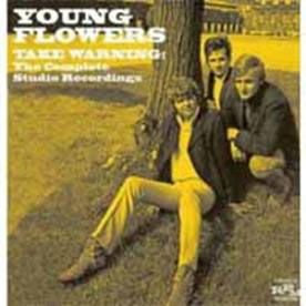 Cover for Young Flowers · Take Warning -the Complete Studio Recordings (CD) [Japan Import edition] (2012)