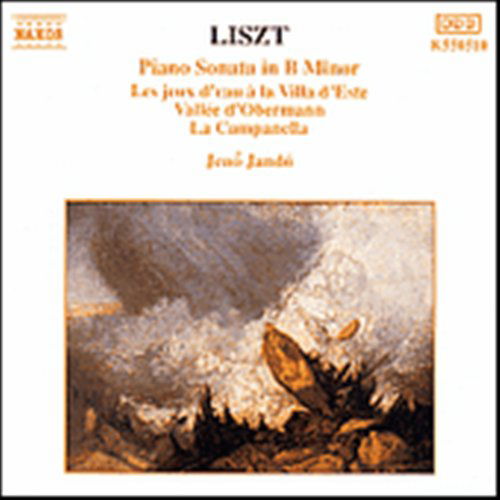 Sonata In B Minor / Vallee - Franz Liszt - Muziek - NAXOS - 4891030505100 - 26 maart 1993