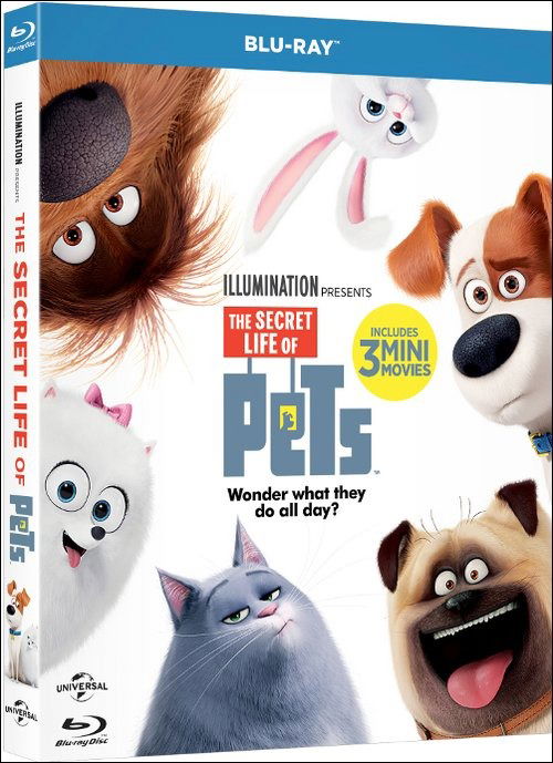 Pets - Vita Da Animali - Pets - Filmes - UNIVERSAL PICTURES - 5053083056100 - 1 de fevereiro de 2017