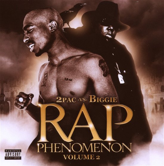 Cover for 2pac · Rap Phenomenon 2 (CD) (2010)