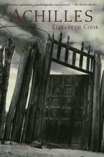 Cover for Elizabeth Cook · Achilles: a Novel (Paperback Bog) [First edition] (2003)