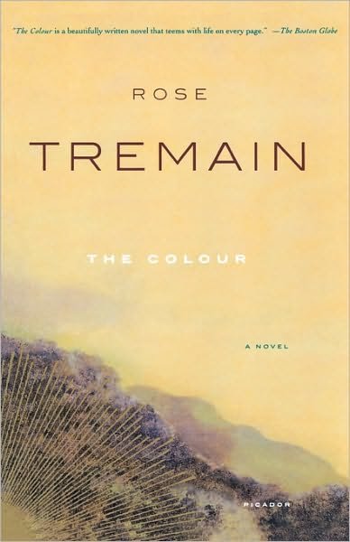 Cover for Rose Tremain · The Colour: a Novel (Paperback Bog) [First edition] (2004)