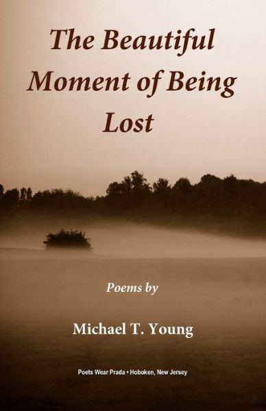 Cover for Michael T. Young · The Beautiful Moment of Being Lost (Paperback Book) (2014)