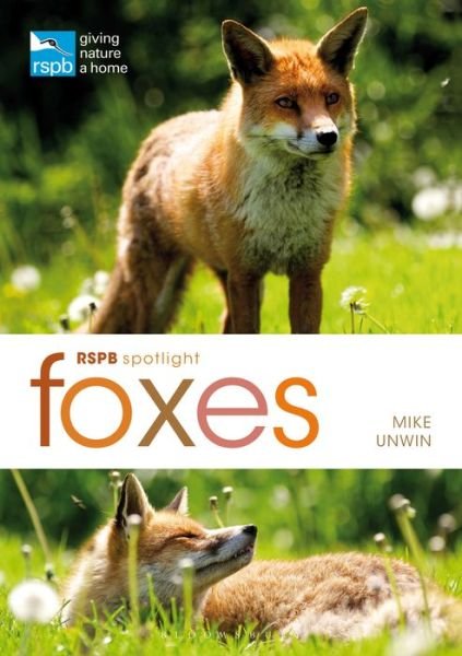 Cover for Mike Unwin · RSPB Spotlight: Foxes - RSPB (Paperback Book) (2020)