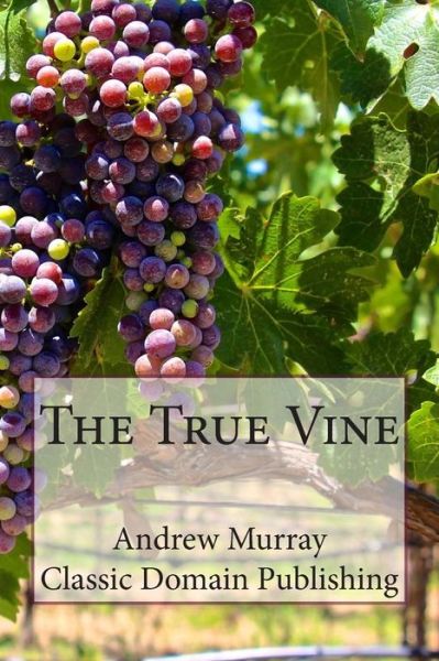 The True Vine - Andrew Murray - Books - Createspace - 9781503039100 - October 30, 2014