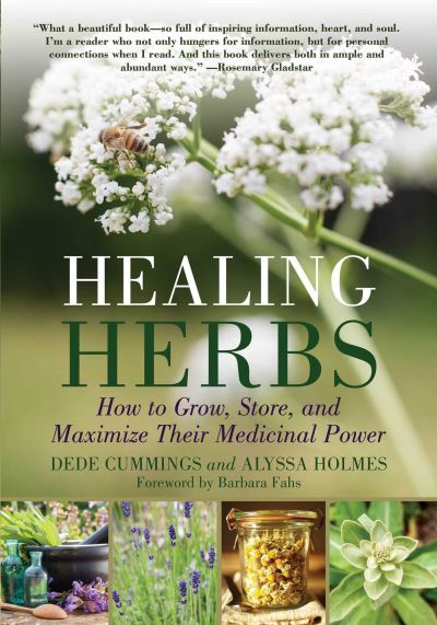 Cover for Dede Cummings · Healing Herbs (Paperback Book) (2017)