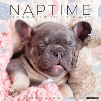 Willow Creek Press · Naptime (Dogs & Puppies) 2025 12 X 12 Wall Calendar (Calendar) (2024)