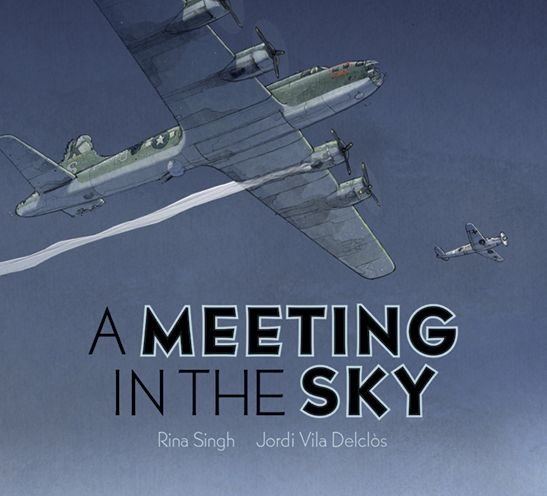 Cover for Rina Singh · A Meeting in the Sky (Hardcover Book) (2021)