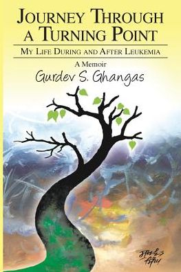 Cover for Gurdev S Ghangas · Journey Through a Turning Point (Paperback Book) (2019)