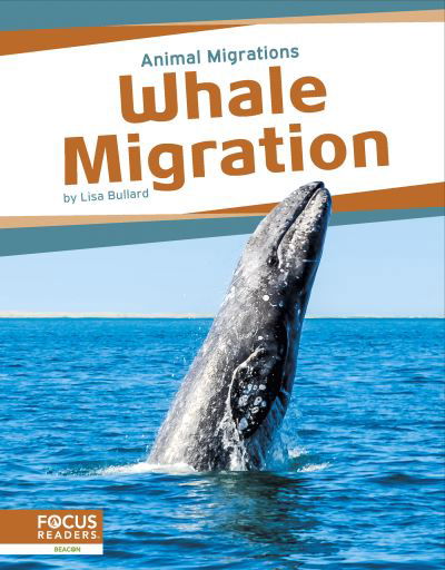 Whale Migration - Lisa Bullard - Books - North Star Editions - 9781637396100 - August 1, 2023