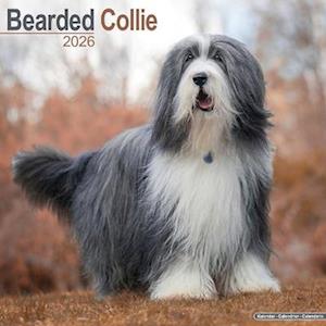 Cover for Bearded Collie Calendar 2026  Square Dog Breed Wall Calendar - 16 Month (Calendar) (2025)