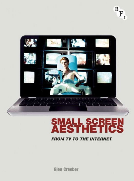 Cover for Na Na · Small Screen Aesthetics: From Television to the Internet (Inbunden Bok) (2013)