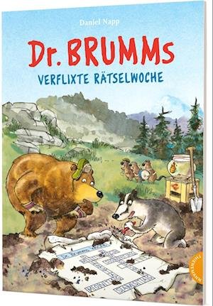 Cover for Daniel Napp · Dr. Brumm: Dr. Brumms verflixte Rätselwoche (Bok) (2022)