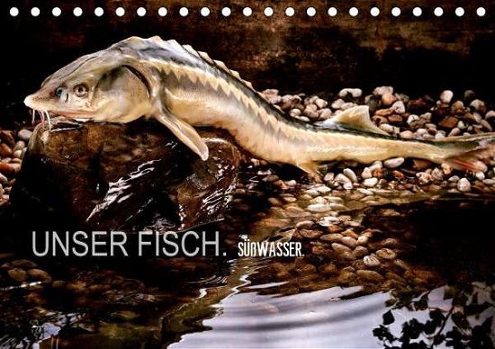 Cover for Morgenstern · UNSER FISCH. SÜßWASSER. (Ti (Bog)