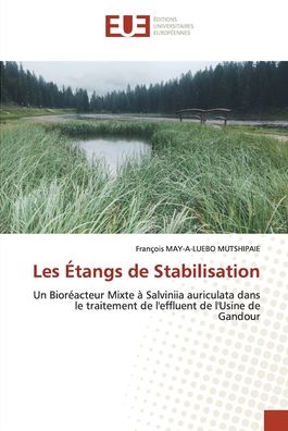 Cover for François May-A-Luebo Mutshipaie · Les Étangs de Stabilisation (Paperback Book) (2021)