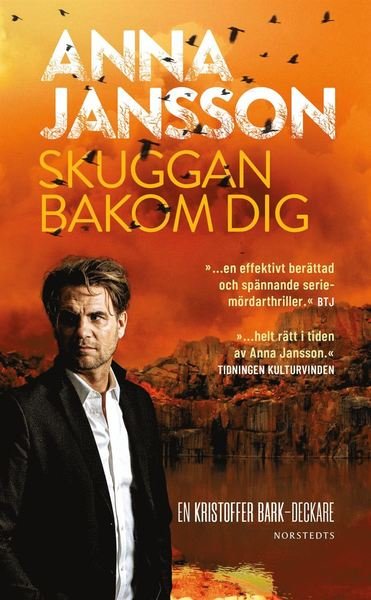 Cover for Anna Jansson · Bergslagens blå: Skuggan bakom dig (Paperback Book) (2021)