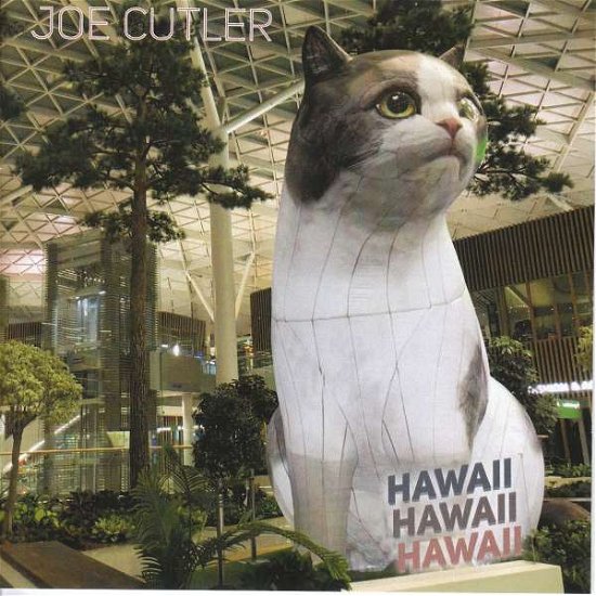 Cover for Orkest De Ereprijs / Wim Boerma · Joe Cutler Hawaii Hawaii Hawa (CD) (2020)