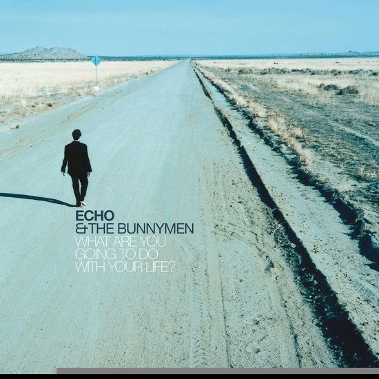 Cover for Echo And The Bunnymen · What Are You Going To Do With Your Life ? (CD) (2024)